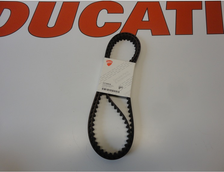 DUCATI TIMING CAM BELTS MONSTER SUPERSPORT SPORT 900 73710081A