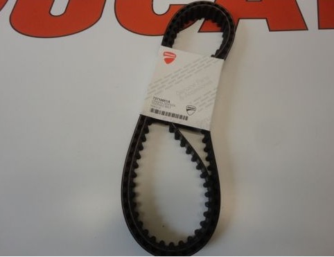 DUCATI TIMING TOOTHED CAM BELTS SS MONSTER 400 600 620 750 800 73710051A