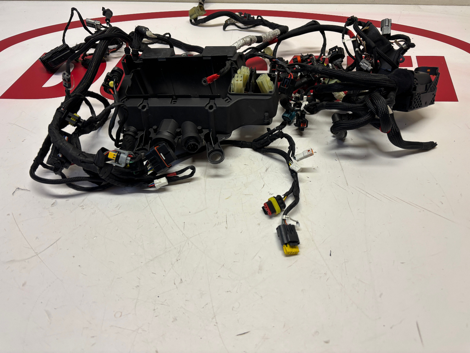 Ducati complete main wiring harness loom Panigale V4 R 5101F371B