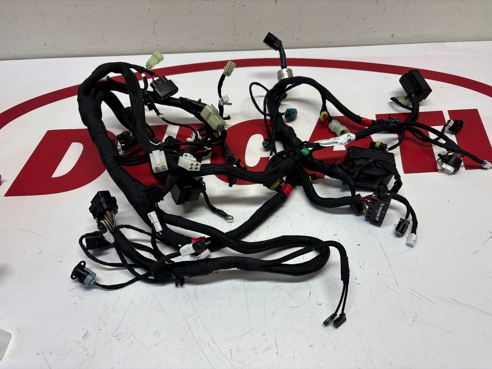 Ducati complete main wiring harness loom Panigale V2 5101D691D