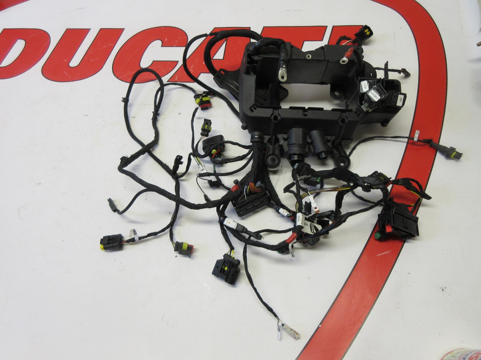 Ducati Panigale V4 superbike main wiring harness 5101C861D