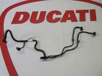 Ducati fuel line lines hose high pressure 2011 - 2014 Diavel 1200 59023502A