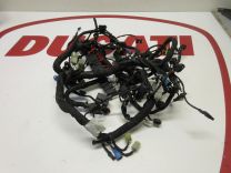 Ducati main wiring harness loom Multistrada 1200 Pikes peak 2016