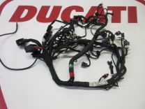 Ducati Main wiring harness loom Scrambler 800 2019 2023 models 5101E241C